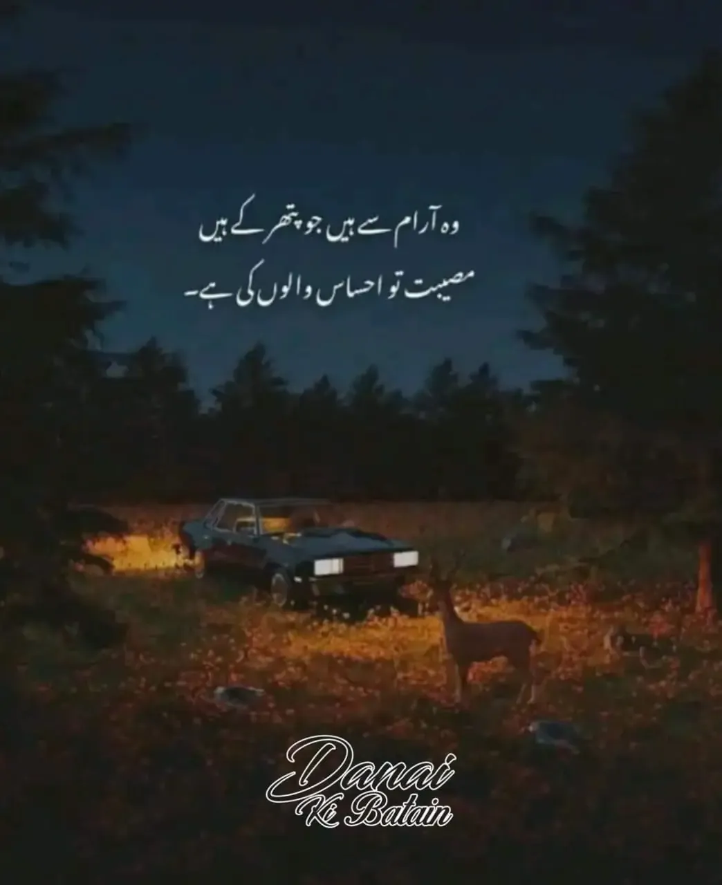They are at rest who are of stone | Who Aram Se hain Jo Pather Ke Hain