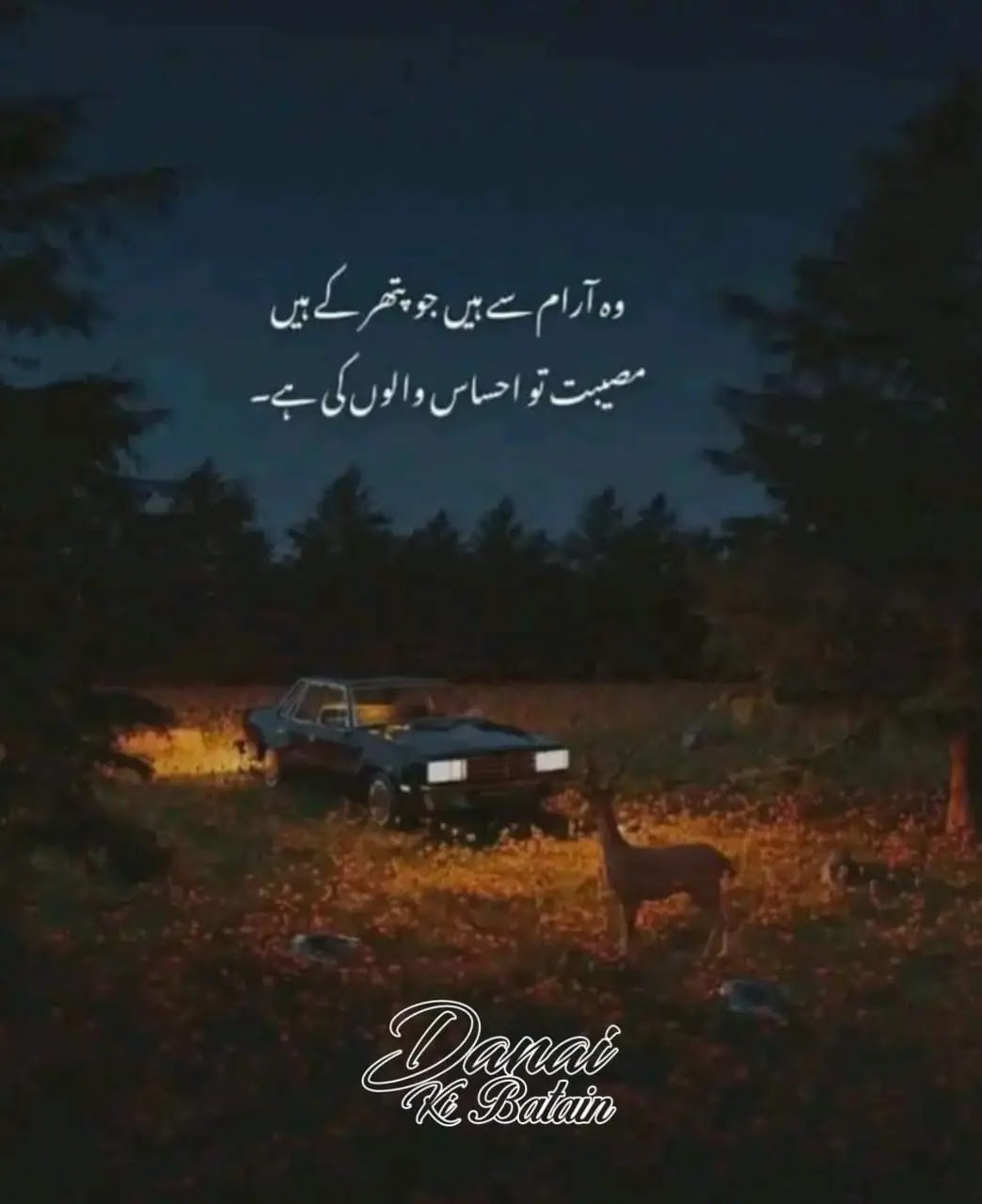 They are at rest who are of stone | Who Aram Se hain Jo Pather Ke Hain