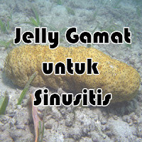 Jelly Gamat untuk mengobati Sinusitis