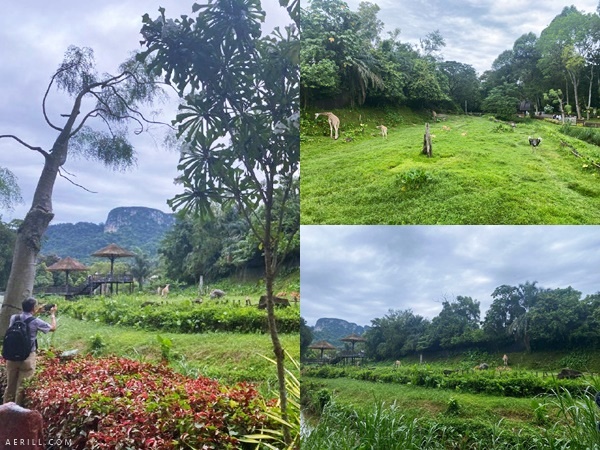 Pengalaman Seharian Jalan-Jalan di Zoo Negara Secara PERCUMA!