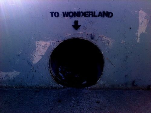 To Wonderland - Seems Legit