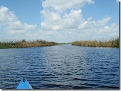 P5080119