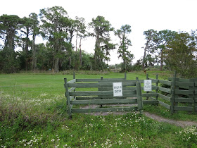 Felts Audubon Preserve, Florida