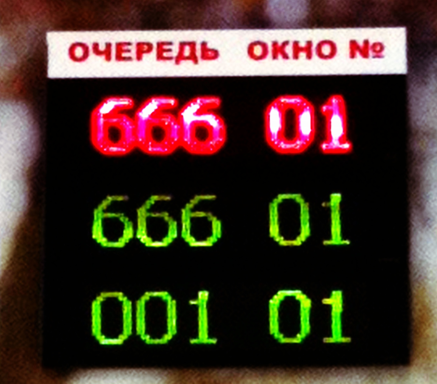 IMG_1261-2012-01-8-16-38.JPG