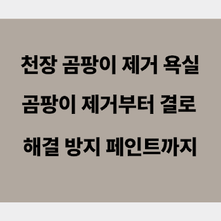 천장 곰팡이 제거 욕실 곰팡이 제거부터 결로 해결·재발 방지 페인트까지