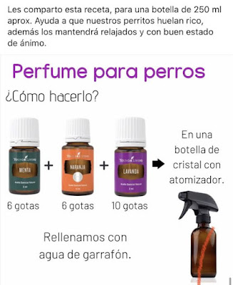 Perfume Casero para Perros: Refresca a tu Compañero Peludo con Aromas Naturales