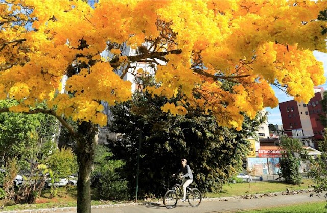 Primavera começa com previsão de frequentes pancadas de chuva