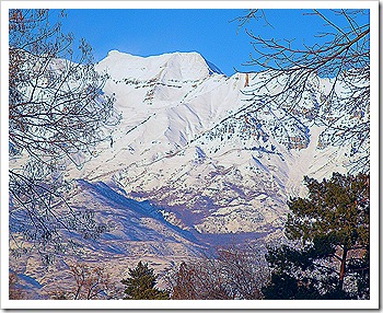 DSCN0249