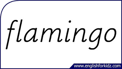 flamingo flashcard, single word