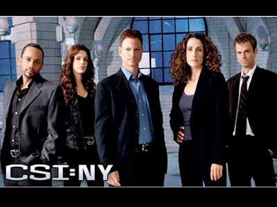 Watch CSI NY Season 6 Episode 6