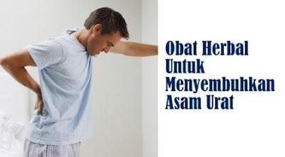 obat asam urat cara herbal ampuh