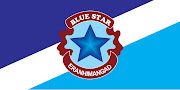 Hotel Logo (blue star)