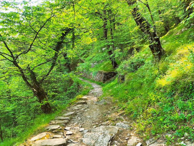 sentiero Montallegro passo Crocetta