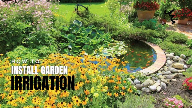 Pond in the garden: 7 tips on how to arrange a decorative pond