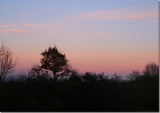 SONY DSC