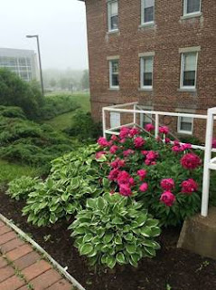 flowers outside Brucker Hall