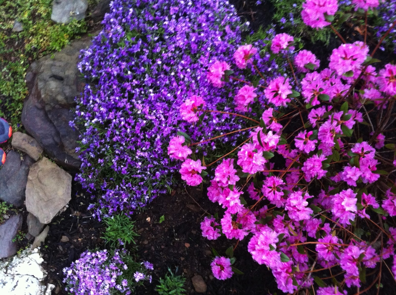 CRAFT & CONSUMPTION: April & May Blooming Spring Flowers ...