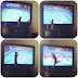 My friend’s cat watching Olympic Water Polo