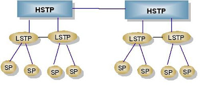 Signaling Network