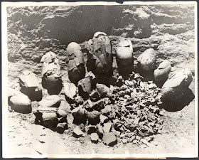 Fósiles de huevos de dinosaurios hallados por Roy Chapman Andrews