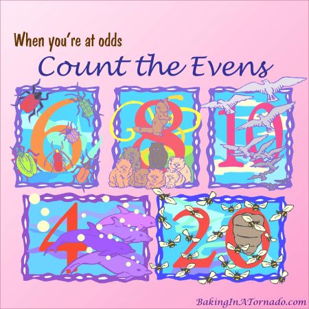 Count the Evens | graphic designed by, featured on, and property of www.BakingInATornado.com | #MyGraphics #blogging