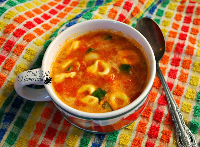 A bowl of this quick and easy white been and tortellini soup is a delicious, warming lunch or dinner on a cold day.