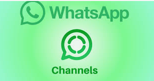 Cara Membuat Saluran WhatsApp: Panduan Langkah demi Langkah