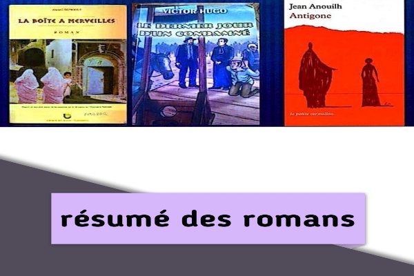 Résumé des romans 1 bac pdf