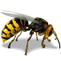 Sengatan Lebah Vs Sengatan Nafsu
