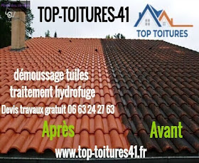 nettoyage toiture 41