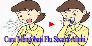 Cara Mengobati Flu