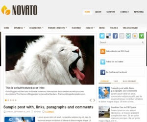 Novato Blogger Template