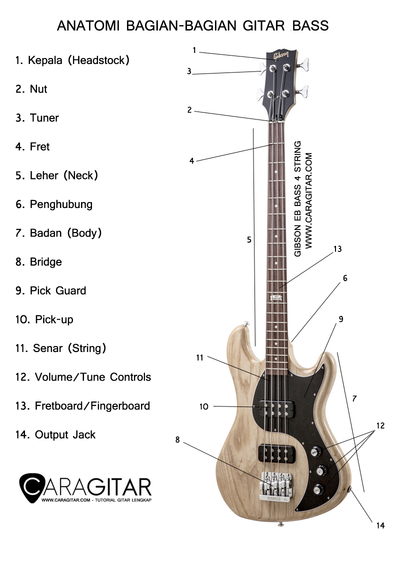 Anatomi Bagian Bagian Gitar Bass TUTORIAL GITAR LENGKAP