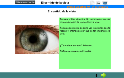 El sentido de la vista,Esqueleto y huesos, C.Medio