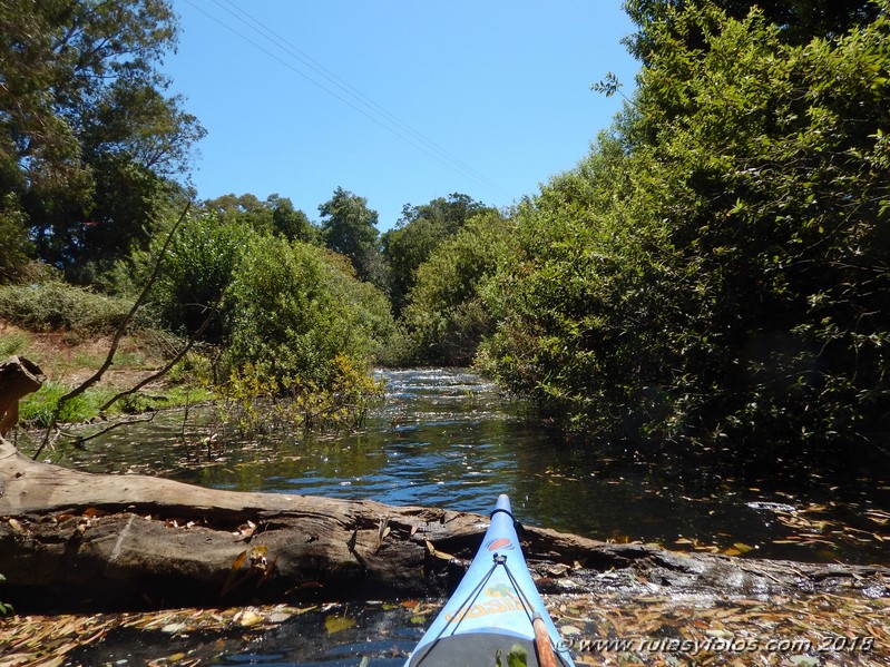 Kayak río Palmones