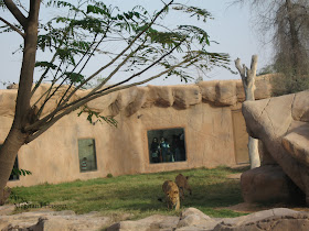 Al Ain Zoo