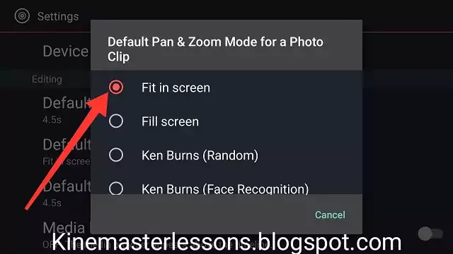 Kinemaster pan and zoom settings options