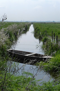 A view of the marshes at Roze