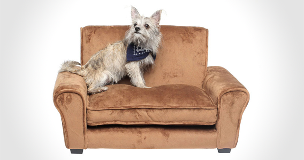 Pet Couch Enchanted Home Pet Ultra Plush Club Chair