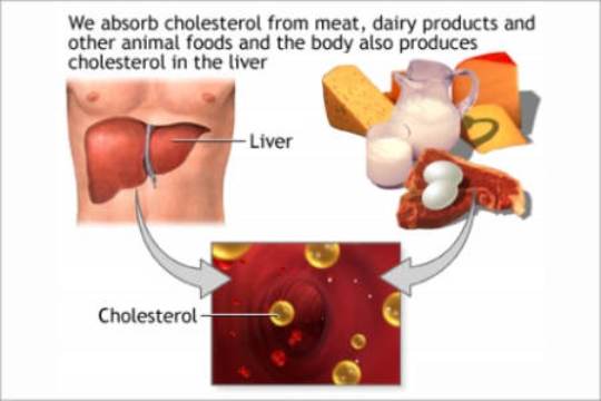 Tips You Should Know About High Blood Cholesterol
