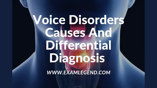 Voice Disorders Causes And Differential Diagnosis