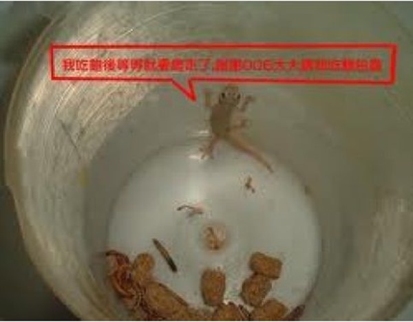 clip_image005