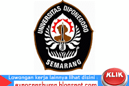 Penerimaan Dosen dan Tenaga Kependidikan Non PNS Universitas Diponegoro Tahun 2016