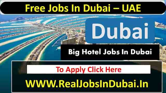 W Dubai The Palm Hotel Jobs In Dubai  UAE 2023