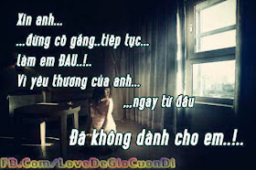 Giay dan tuong