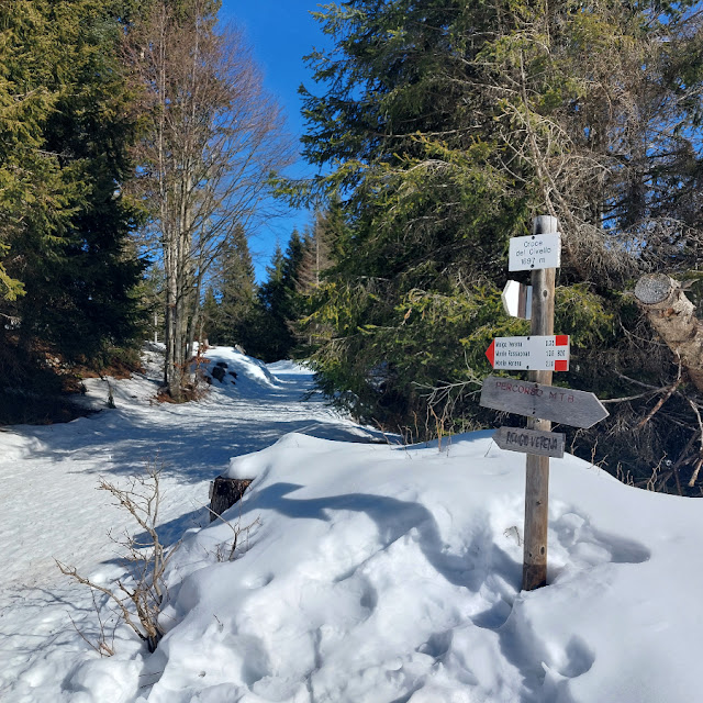 forte campolongo inverno ciaspole