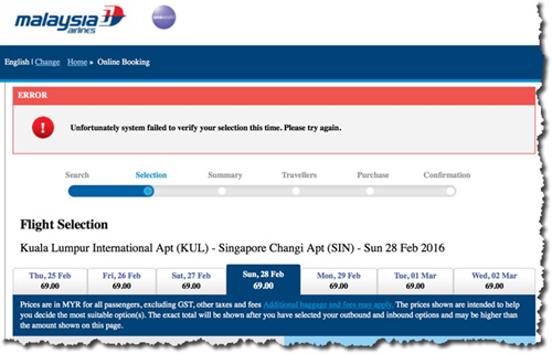 The Man In Seat 12a More Malaysia Airlines Website Issues