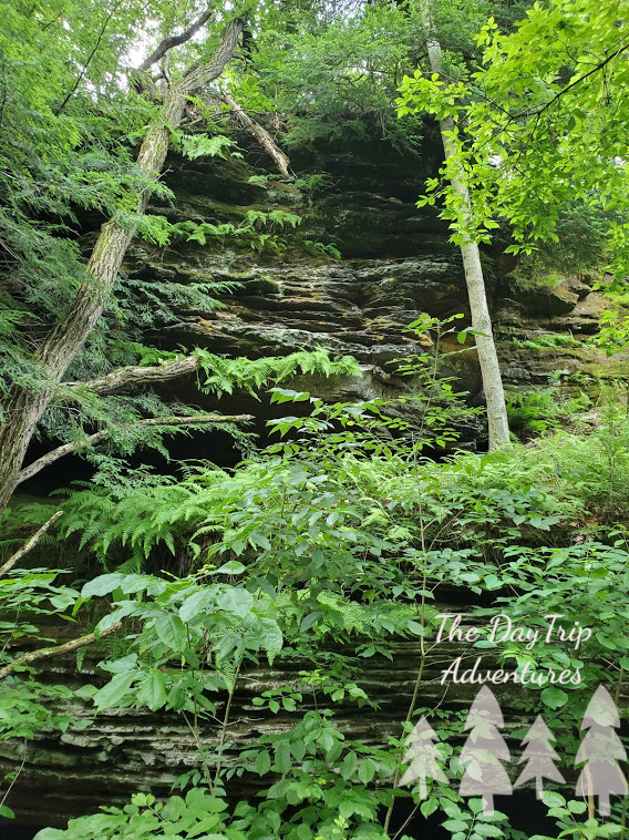 Sandstone Cliffs at Blackhand Gorge