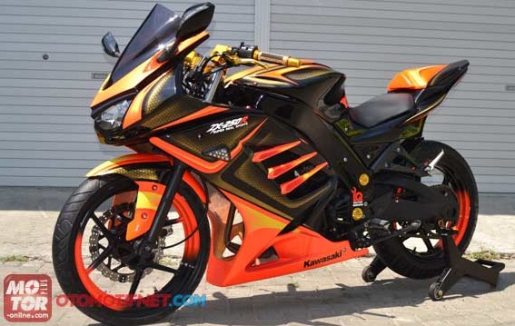 Variasi / Modifikasi Kawasaki Ninja 250R Super Keren title=