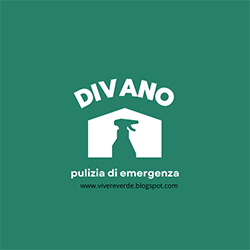 Pulizia del divano: Panico: vomito sul divano... pulizia e odore.